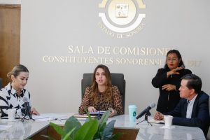 53596977982_6ac541e53c_h