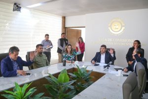 CONGRESO DE SONORA DICTAMINA