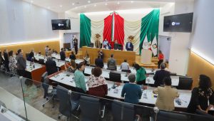 GARANTIZA CONGRESO 2