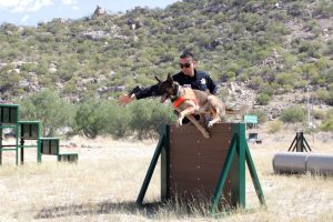 CONTRIBUYE UNIDAD K9 (3)