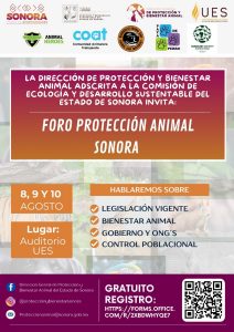 ANUNCIA EL GOBIERNO