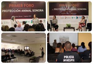 foro
