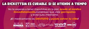 FB_IMG_1728399816018