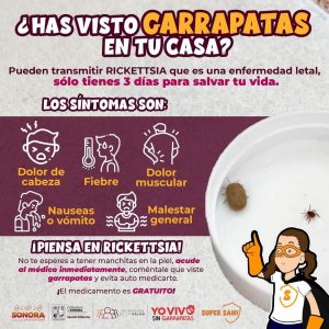 FB_IMG_1731074237899