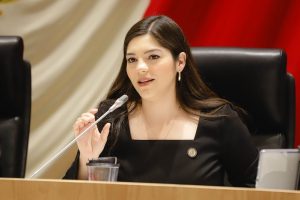 DIPUTADA AMAIRANY PEÑA 1