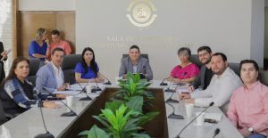 APRUEBA COMISIÓN 2