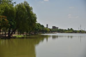 TRABAJAN EN EMBELLECIMIENTO (4)