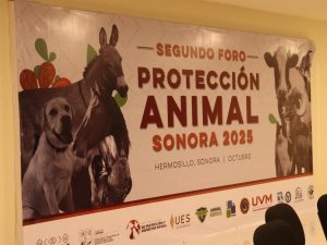 2B2FBB32-A7A9-4CC0-8EFD-09A3DBBEE741