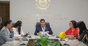 Aprueban en comisión reforma2