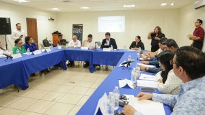 Congreso de Sonora avanza en consulta2