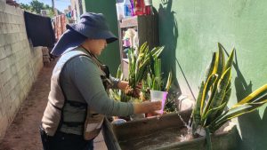 42C6F2F9-8991-4067-907C-0E364F2E09A8