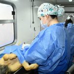 TIENEN ESPACIOS DISPONIBLES EN JORNADAS DE ESTERILIZACIÓN GRATUITA DEL IMPBA