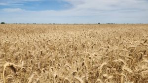 671107070_1406136674874903_641203659276139022_n