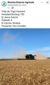 671194336_1406331741522063_5949452259733933765_n